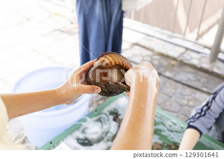 體驗用海灘圍網捕捉貝類 129301641