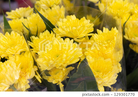 Yellow Flowers Wrapped in Plastic Displayed at Flower Shop Yellow Flowers Wrapped in Plastic Displayed at Flower Shop 129301770
