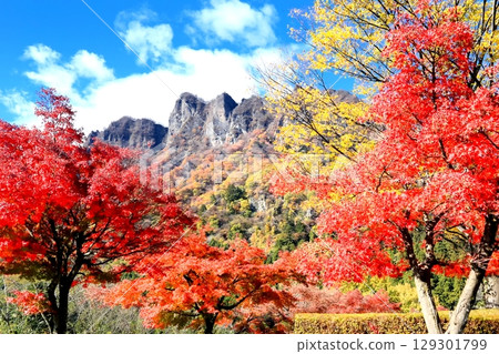 Myogi-yama秋葉 129301799