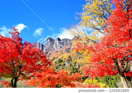Autumn leaves of Myogi-yama 129301809