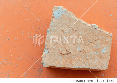Fossilized rock fragment discovered on orange background in outdoor setting 129301830