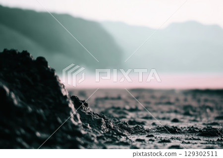 Coastal landscape with mud and blurred background near water during overcast weather 129302511