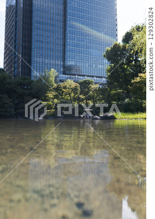 Modern skyscraper reflecting on pond in tranquil urban garden 129302824