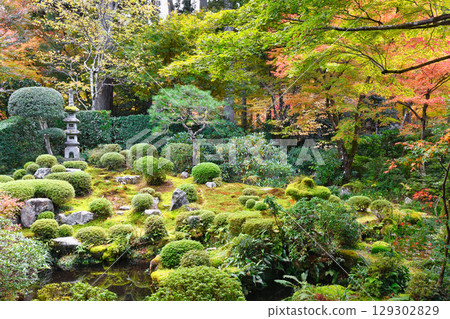 Beautiful autumn foliage at Shuhekien Garden, Sanzen-in Temple, Ohara (Sakyo Ward, Kyoto City, Kyoto Prefecture) 129302829