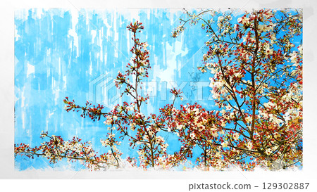 Sketch style sketch cherry blossoms sakura sakura flowers cherry blossom viewing full bloom spring spring scenery japan landscape nature season flowering 129302887