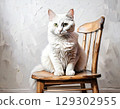 A calming interior illustration of a dignified white cat sitting on a wooden chair 129302955