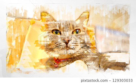 sketch style cat cat cat kijitora gray female female female cat female cat healthy pretty healing 129303033