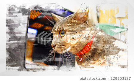 sketch style cat cat cat kijitora gray female female female cat female cat healthy pretty healing 129303127