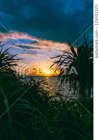 Beautiful sunset 129303323