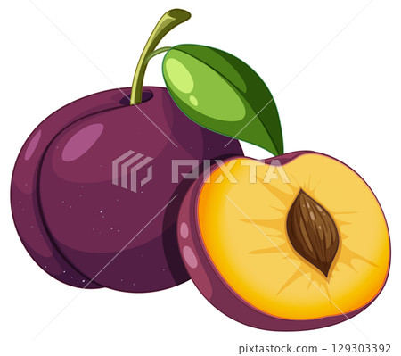 Whole Plum and Halved Plum with Leaf Illustration 129303392