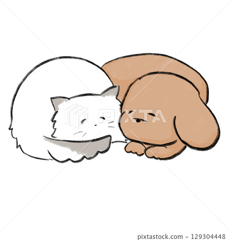 Dog and cat sleeping curled up 129304448