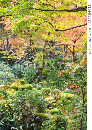 大原三千院修碧園的紅葉美不勝收(京都府京都市左京區) 大原三千院修碧園的紅葉美不勝收(京都府京都市左京區) 129304618