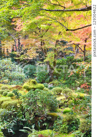 大原三千院修碧園的紅葉美不勝收（京都府京都市左京區） 129304622
