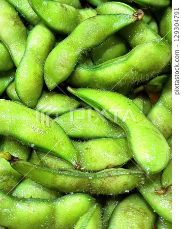 Fresh, seasonal edamame beans (boiled soybeans)19 129304791