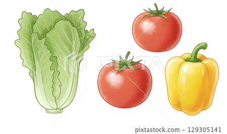 Illustration of various vegetables 129305141