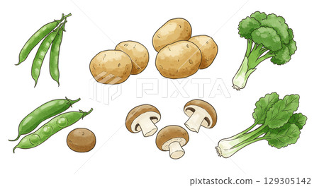 Illustration of various vegetables 129305142