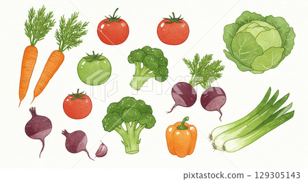 Illustration of various vegetables 129305143