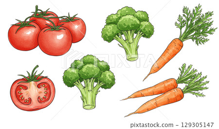 Illustration of various vegetables Illustration of various vegetables 129305147