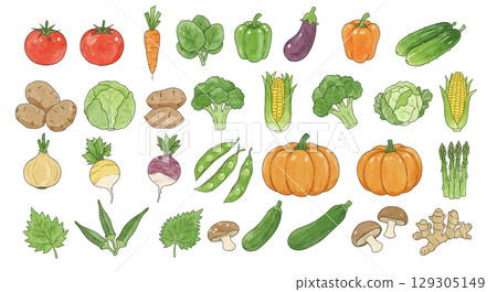 各種蔬菜的插圖 各種蔬菜的插圖 129305149