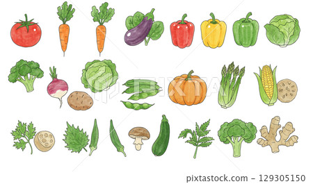 Illustration of various vegetables Illustration of various vegetables 129305150