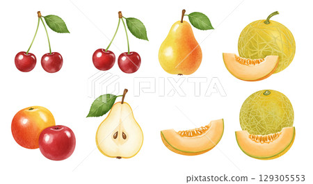 各種水果插圖集 129305553