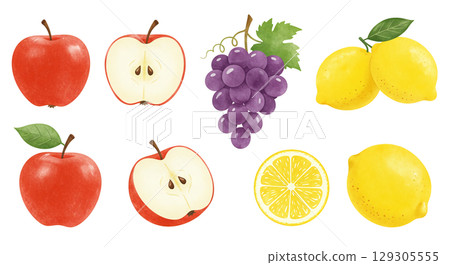 各種水果插圖集 129305555