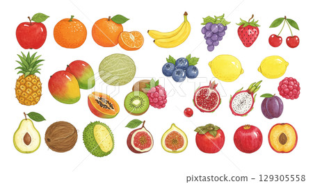 各種水果插圖集 129305558