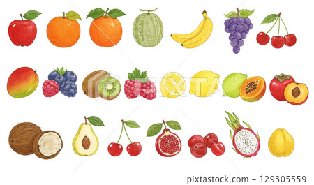 Various fruit illustration set 129305559