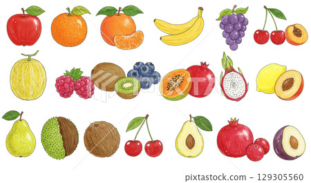 Various fruit illustration set 129305560