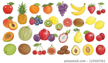 各種水果插圖集 129305561