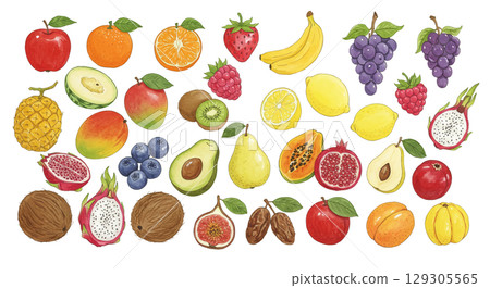 各種水果插圖集 129305565