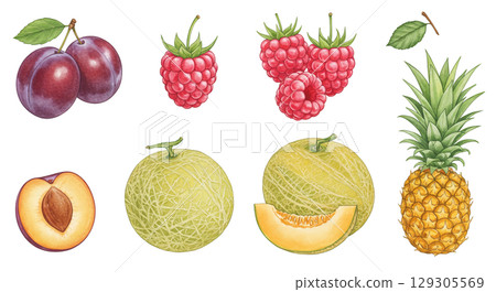 各種水果插圖集 各種水果插圖集 129305569