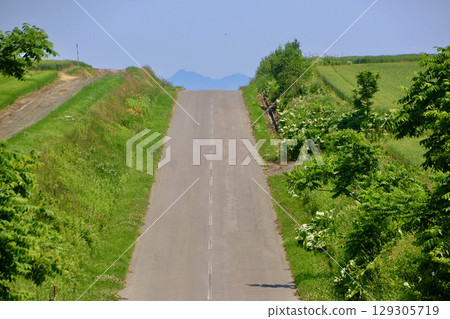 道路、斜里山、奧維爾丘陵（北海道大空町） 129305719