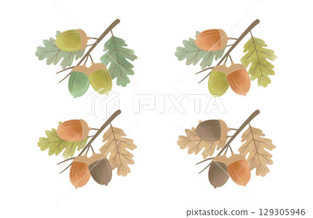 水彩橡實和葉枝套裝(4 種顏色變化) 水彩橡實和葉枝套裝(4 種顏色變化) 129305946