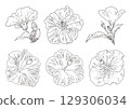 Summer flower hibiscus set 129306034