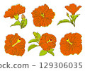 Summer flowers red hibiscus set 129306035