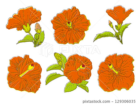 Summer flowers red hibiscus set Summer flowers red hibiscus set 129306035