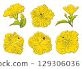 Summer flowers yellow hibiscus set 129306036