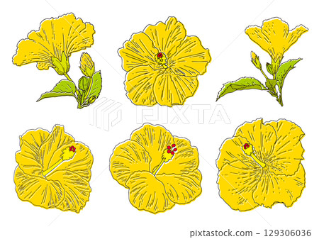 夏季花卉黃色芙蓉套裝 129306036