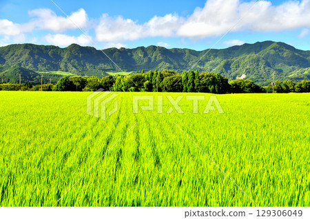 View of the southern outer rim mountains from Shikimi, Takamori Town (Takamori Town, Kumamoto Prefecture) [July 2025] 129306049