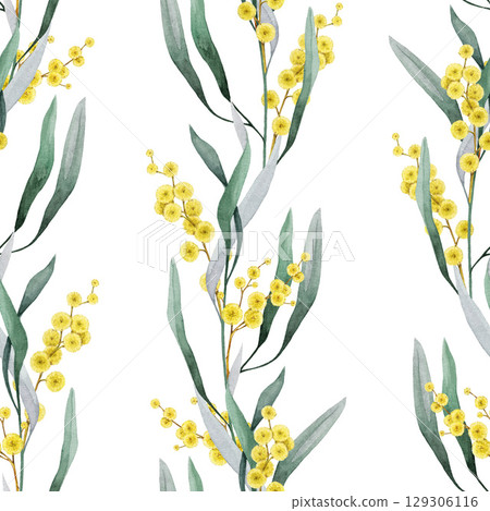 Golden wattle flowers seamless pattern decor element watercolor illustration. Acacia pycnantha Australian native plant. Golden wattle elegant branches decoration on white background Golden wattle flowers seamless pattern decor element watercolor illustration. Acacia pycnantha Australian native plant. Golden wattle elegant branches decoration on white background 129306116