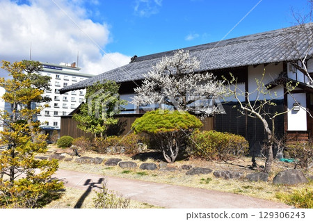 小諸市大手門公園本陣主樓及藍天 小諸市大手門公園本陣主樓及藍天 129306243