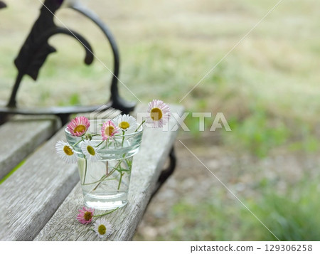 Small flowers on the bench Small flowers on the bench 129306258