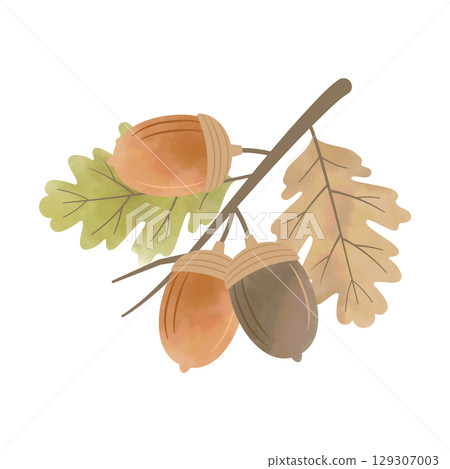 水彩橡子和葉枝（棕色 x 綠色） 129307003
