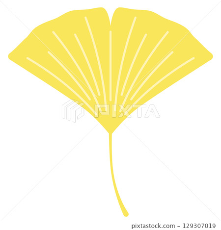 Illustration of ginkgo leaves Illustration of ginkgo leaves 129307019