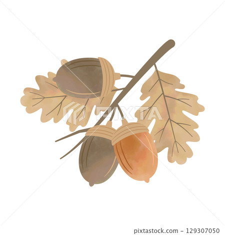 Watercolor acorn and leaf branch (brown) 129307050