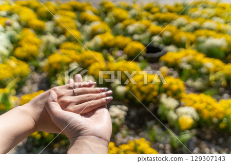 牽手的幸福瞬間③ 129307143