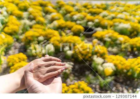 牽手的幸福瞬間④ 129307144