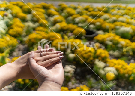 牽手的幸福瞬間⑥ 129307146