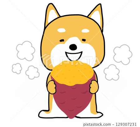 Shiba Inu eating hot roasted sweet potato with relish Shiba Inu eating hot roasted sweet potato with relish 129307231